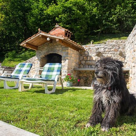 Villa Sirotnjak ลอฟราน ภายนอก รูปภาพ