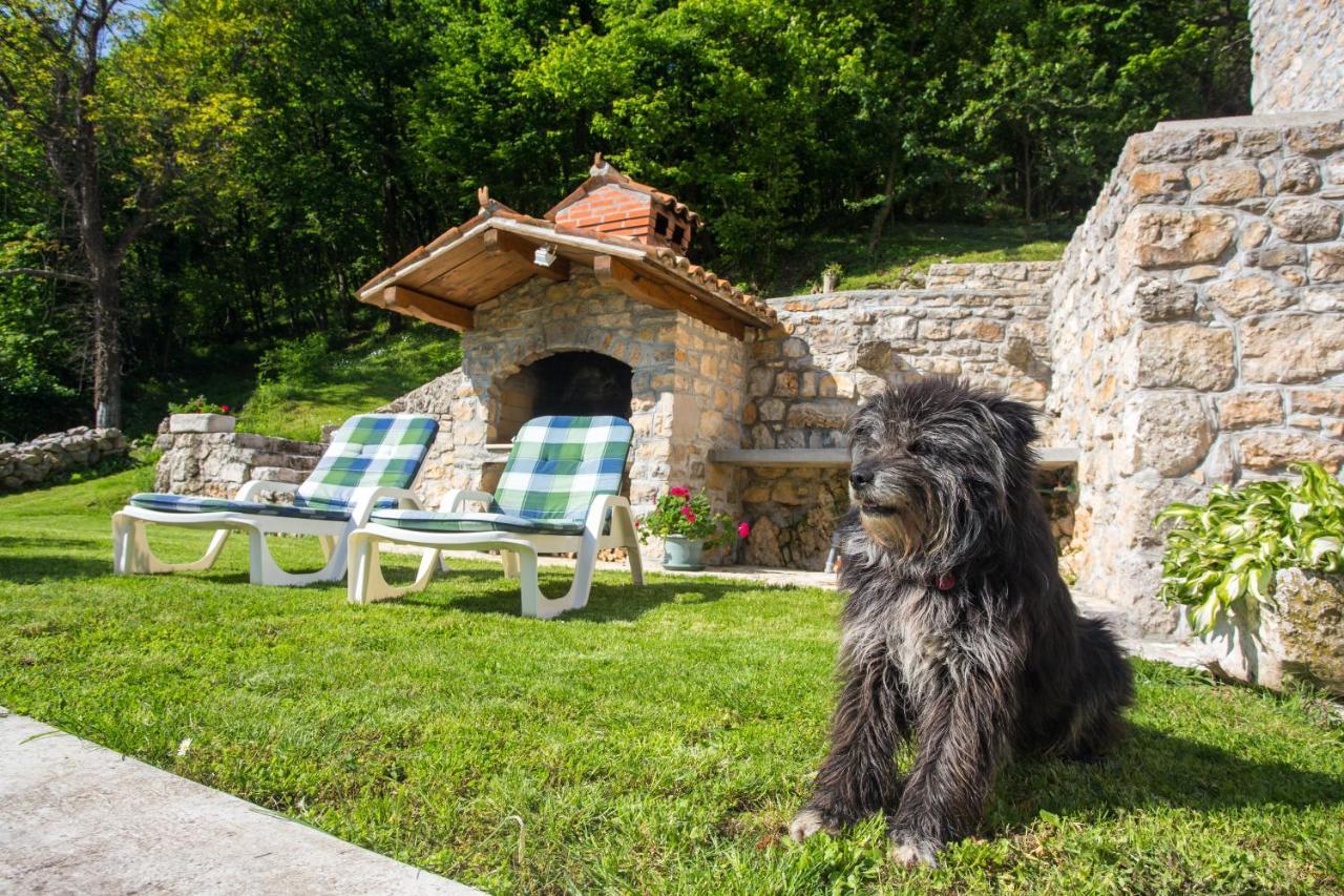 Villa Sirotnjak ลอฟราน ภายนอก รูปภาพ